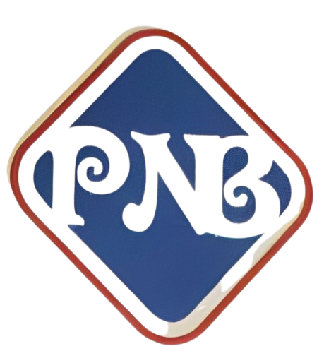 Pari Nursing Bureau